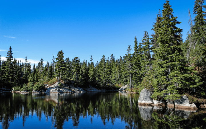 Death in Her Hands by Ottessa Mosfegh –&nbsp;Review